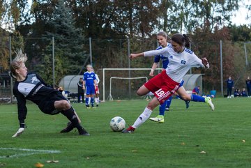 Bild 240 - B-Juniorinnen Hamburger SV - FC Neubrandenburg 04 : Ergebnis: 3:1